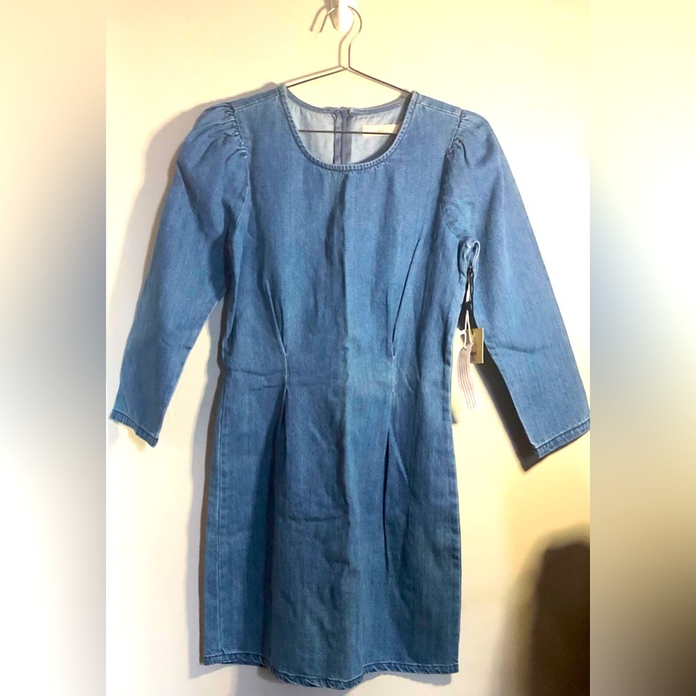 Francesca’s Blue Cotton Denim Dress